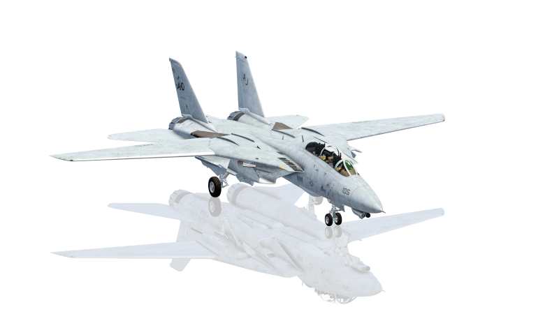 Grumman F-14 Tomcat